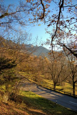 Liechtenstein, Triesenberg 'de güzel bir sonbahar manzarası 18.11.2020