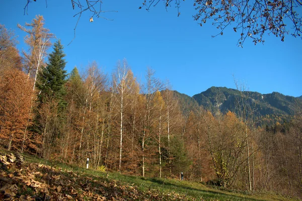Величественные Осенние Пейзажи Тризенберге Лихтенштейне 2020 — стоковое фото