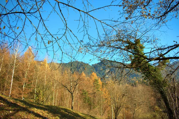 Krásná Podzimní Náladová Krajina Triesenbergu Lichtenštejnsku 2020 — Stock fotografie