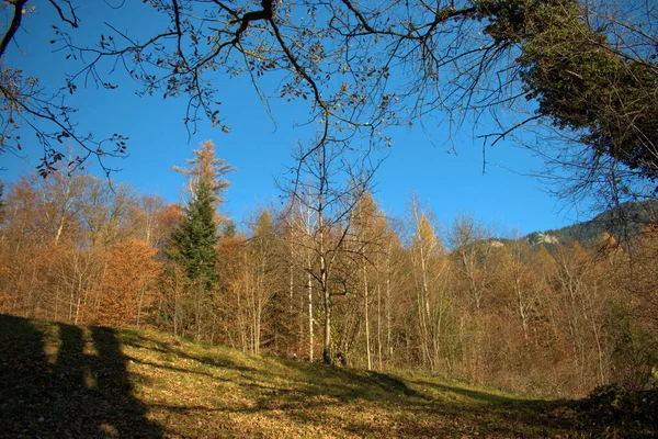 Hermoso Paisaje Otoño Triesenberg Liechtenstein 2020 — Foto de Stock