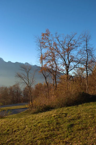 Kleurrijk Herfstlandschap Triesenberg Liechtenstein 2020 — Stockfoto