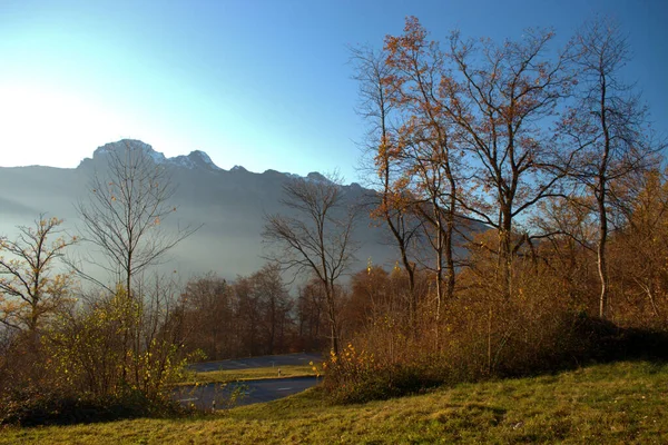 Paysage Automne Coloré Triesenberg Liechtenstein 2020 — Photo