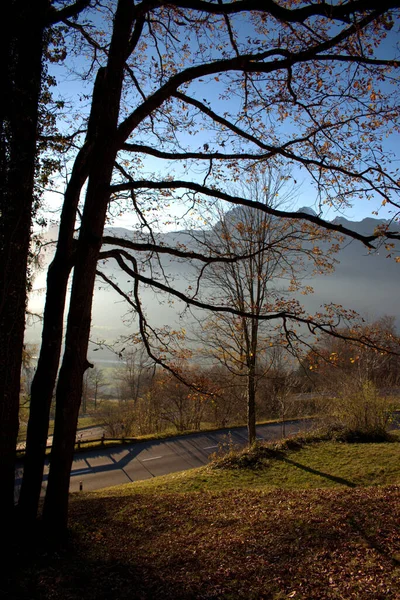 Cenário Colorido Outono Triesenberg Liechtenstein 2020 — Fotografia de Stock