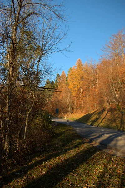 Cenário Colorido Outono Triesenberg Liechtenstein 2020 — Fotografia de Stock