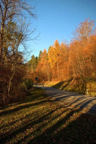 Cenário Colorido Outono Triesenberg Liechtenstein 2020 — Fotografia de Stock