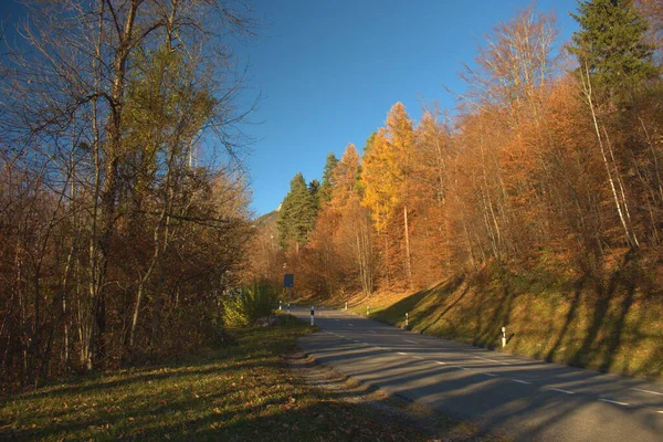 Jesienny Nastrój Triesenbergu Liechtensteinie 2020 — Zdjęcie stockowe
