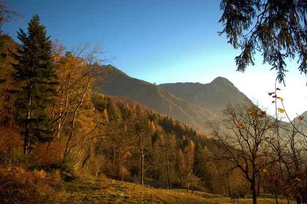 Humor Outono Triesenberg Liechtenstein 2020 — Fotografia de Stock