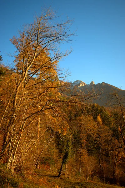 Autumn Mood Triesenberg Liechtenstein 2020 — Stock Photo, Image