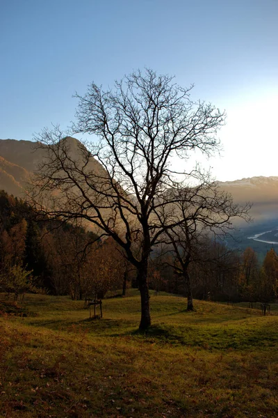 Autumn Mood Triesenberg Liechtenstein 2020 — Stock Photo, Image