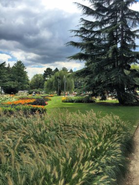 Margaret Adası, Budapeşte 'de 13.8.2016 güzel bir park.