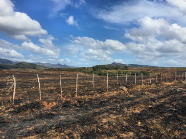 Küba 'nın Trinidad çevresindeki Idyllic kırsalında 25.12.2016
