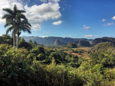 Küba 'da Vinales çevresindeki inanılmaz kırsal alan 2.1.2017