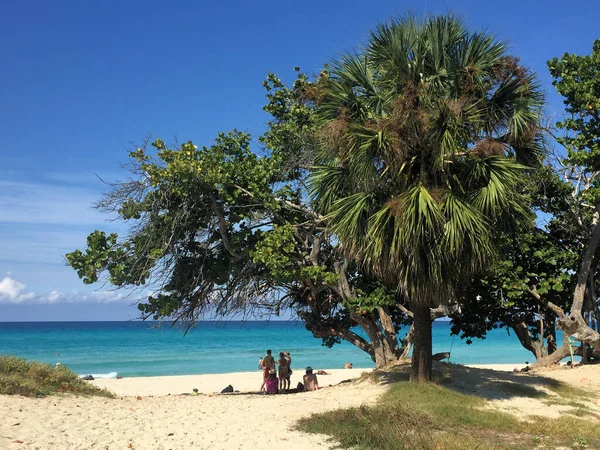 Küba, Varadero 'da güzel plaj 5.1.2017