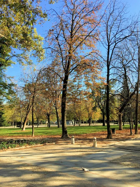 Прекрасный Парк Центре Мадрида Испании 2016 — стоковое фото