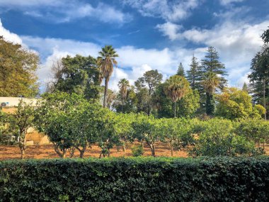 San Anton bahçeleri Malta Attard 10.3.2020