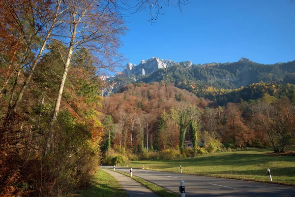 Kolorowy Nastrój Jesienny Planken Liechtensteinie 2020 — Zdjęcie stockowe