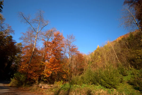 リヒテンシュタインのカラフルな秋の気分11 2020 — ストック写真