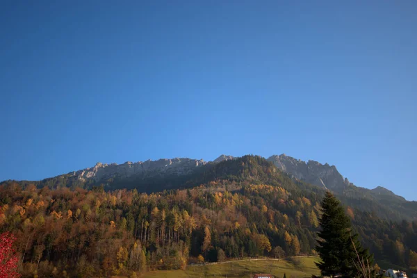 Barevná Podzimní Nálada Lichtenštejnsku 2020 — Stock fotografie