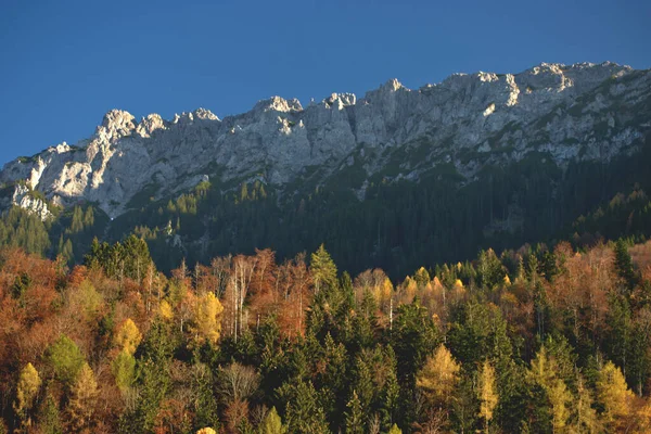 Цветное Осеннее Настроение Планкене Лихтенштейне 2020 — стоковое фото