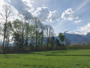 Lihtenştayn güzel kırsal bölge 13.4.2020