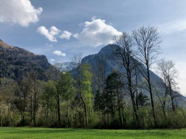 Lihtenştayn güzel kırsal bölge 13.4.2020