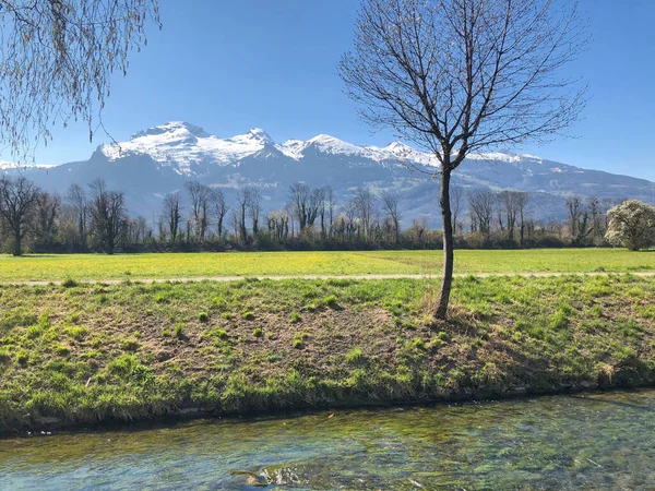 Liechtenstein Hermoso Campo 2020 — Foto de Stock