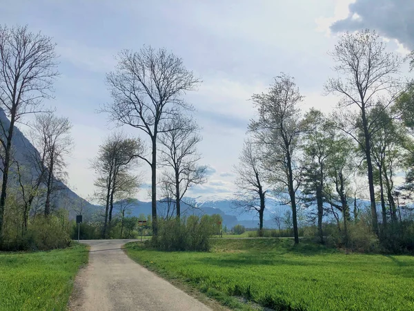 Liechtenstein Hermoso Campo 2020 — Foto de Stock