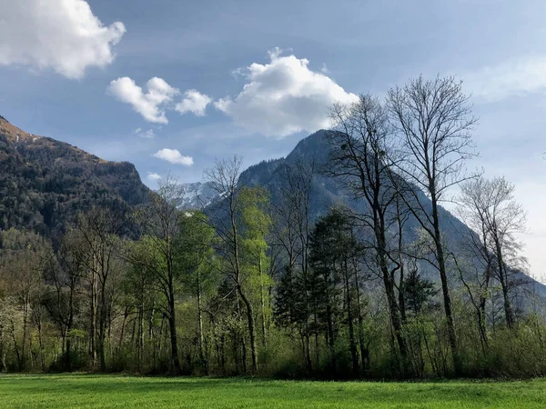Lihtenştayn güzel kırsal bölge 13.4.2020