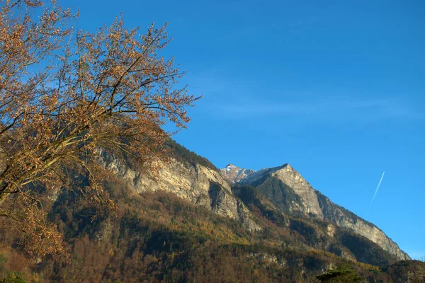 Podzimní Scenérie Balzers Lichtenštejnsku 2020 — Stock fotografie