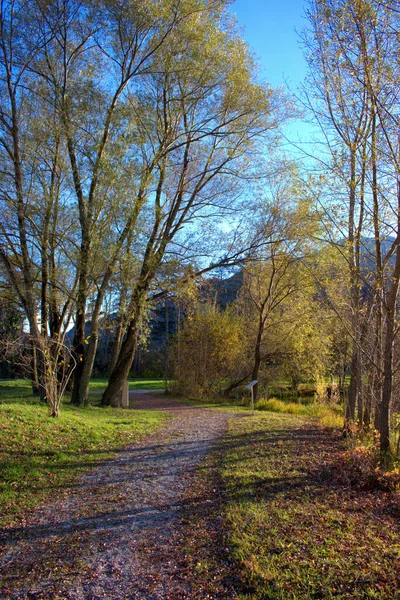 Herbstliche Landschaft Balzers Liechtenstein 2020 — Stockfoto