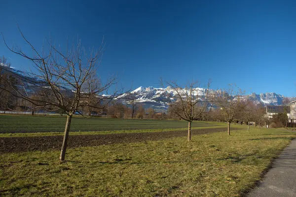 Vaduz Manzarası Lihtenştayn 2020 — Stok fotoğraf