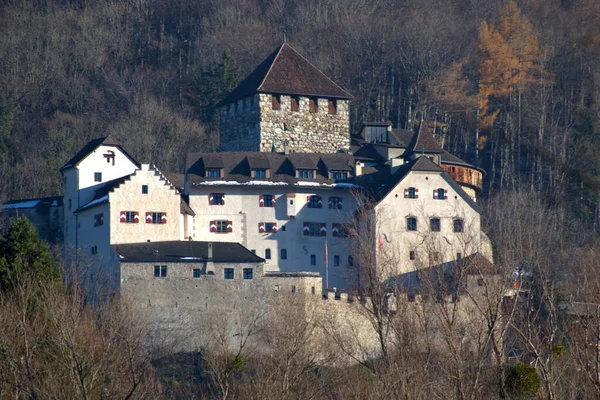 Burg Vaduz Liechtenstein 2020 — Stockfoto