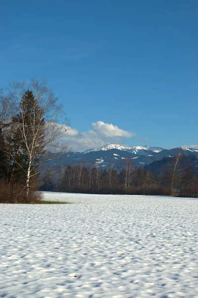 Winterpanorama Ruggell Liechtenstein 2020 — Stockfoto
