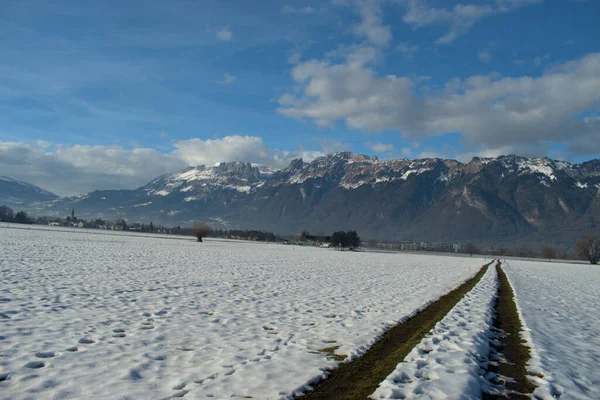 Ruggell Liechtenstein Kış Panoraması 2020 — Stok fotoğraf