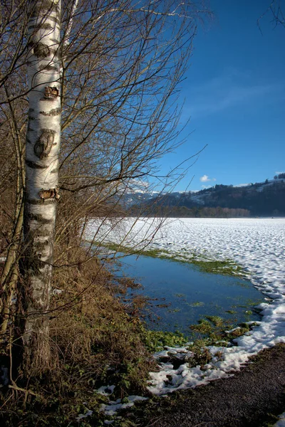 Panorama Invernale Ruggell Liechtenstein 2020 — Foto Stock