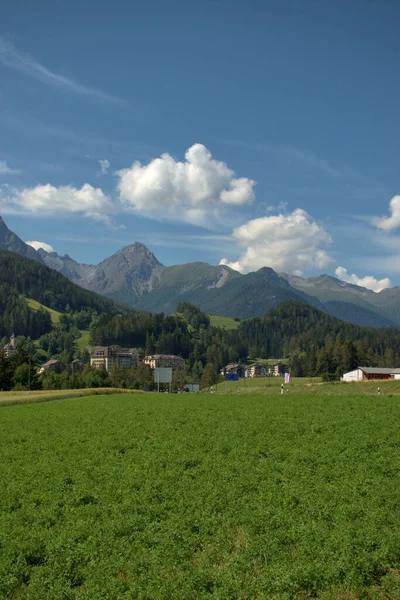 Panorama Alpino Região Engadine Suíça 2020 — Fotografia de Stock