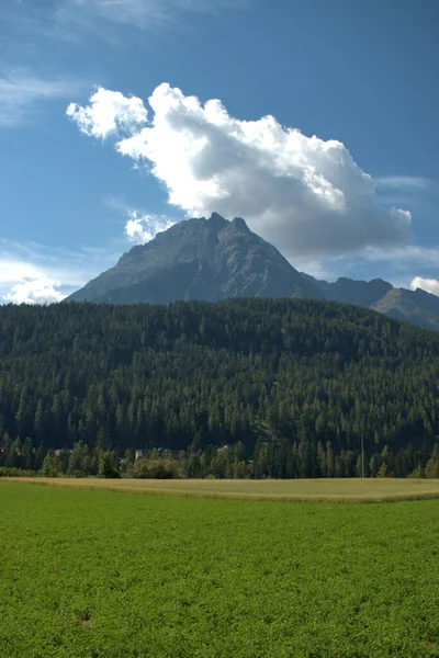 Panorama Alpino Região Engadine Suíça 2020 — Fotografia de Stock