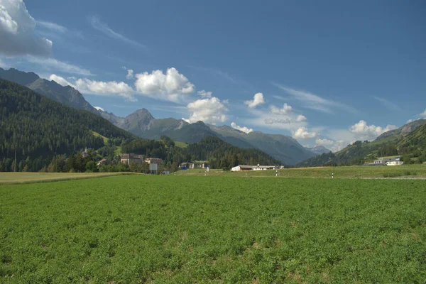 Alpské Panorama Regionu Engadine Švýcarsku 2020 — Stock fotografie