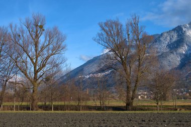 Liechtenstein, Schaan 'da soğuk bir günde güzel bir manzara 26.12.2020