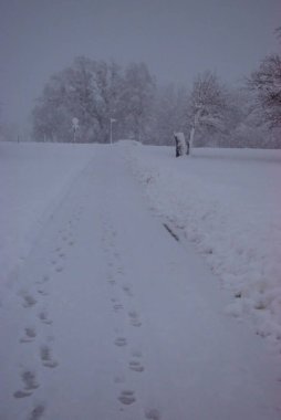 Lihtenştayn, Vaduz 'daki manzara bir sürü taze kar altında kaybolur 14.1.2021
