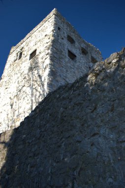 İsviçre, Oberriet 'te Blatten' e yapılan ziyaret 11.1.2021