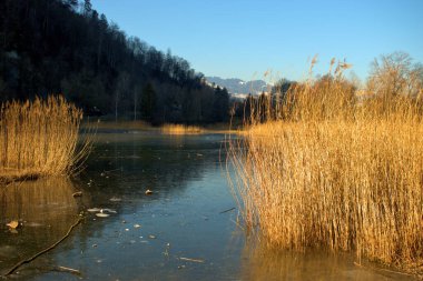 İsviçre 'nin Oberriet şehrindeki güzel bir gölde inanılmaz doğal manzara.