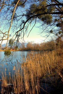 İsviçre 'nin Oberriet şehrindeki güzel bir gölde inanılmaz doğal manzara.
