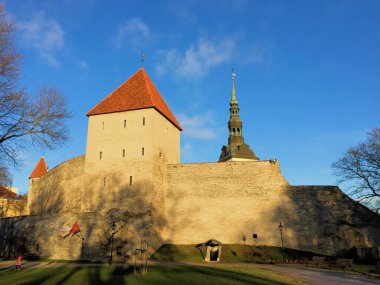 Estonya 'da Tallinn şehrinde bir kulesi olan tarihi şato 24.12.2015