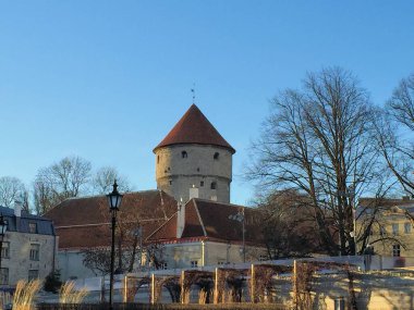 Estonya 'da Tallinn şehrinde bir kulesi olan tarihi şato 24.12.2015