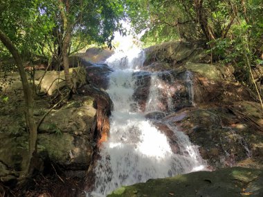 Güzel şelale Tayland 'da Koh Samui' de 14.1.2018 'de bir ormandan akıyor.