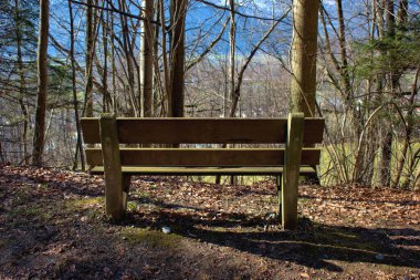 Lihtenştayn, Vaduz 'da bir ormanda dinlenmek için 17.2.2021