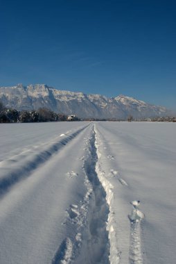 Schaan, Lihtenştayn 'da kış harikalar diyarında yürüyüş günü 16.1.2021