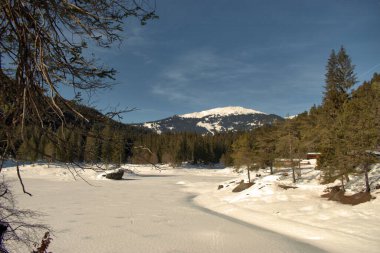İsviçre 'de İsviçre yakınlarındaki Cauma Gölü' nün donmuş kısmına bakın.