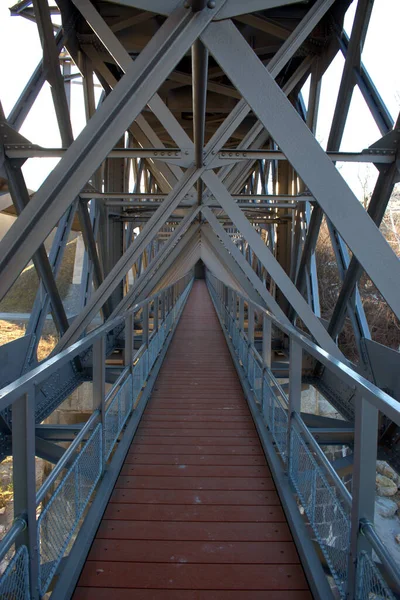 Passarela Fascinante Sob Uma Ponte Específica Sobre Rio Reno Tamins — Fotografia de Stock